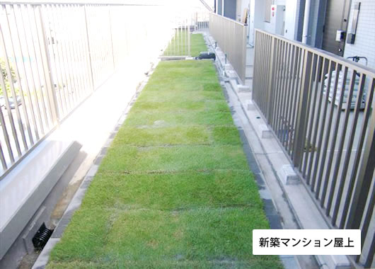 新築マンション屋上