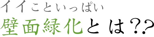 いいこといっぱい壁面緑化とは?