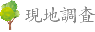 現地調査